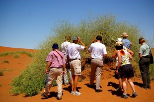 390 Namibia Okt 2006 .JPG